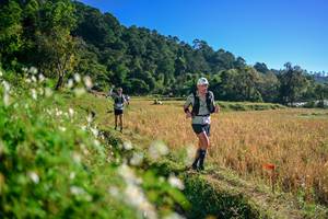 BIB: 
                            <button type="button" onclick="openModal(26571386)" class="btn btn-primary btn-sm float-right btn-popup" data-toggle="modal" data-target=".modal-high-quality">
                        <i class="fas fa-shopping-cart"></i> Add to Cart
                    </button>
                                            <button type="button" onclick="isThisMe(26571386, true)" class="btn btn-success btn-sm float-right btn-popup btn-isme hidden" data-toggle="tooltip" data-placement="bottom" title="นี่คือรูปของคุณใช่ไหม คลิกที่นี่เพื่อเอาเข้าอัลบั้ม">
                        <i class="fas fa-plus"></i> Add to album
                    </button>
                    <button type="button" onclick="isThisMe(26571386, false)" class="btn btn-warning btn-sm float-right btn-popup btn-isnotme hidden">
                        <i class="fas fa-ban"></i> Remove from album
                    </button>