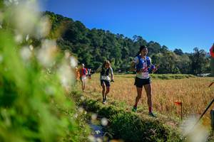 BIB: 
                            <button type="button" onclick="openModal(26572187)" class="btn btn-primary btn-sm float-right btn-popup" data-toggle="modal" data-target=".modal-high-quality">
                        <i class="fas fa-shopping-cart"></i> Add to Cart
                    </button>
                                            <button type="button" onclick="isThisMe(26572187, true)" class="btn btn-success btn-sm float-right btn-popup btn-isme hidden" data-toggle="tooltip" data-placement="bottom" title="นี่คือรูปของคุณใช่ไหม คลิกที่นี่เพื่อเอาเข้าอัลบั้ม">
                        <i class="fas fa-plus"></i> Add to album
                    </button>
                    <button type="button" onclick="isThisMe(26572187, false)" class="btn btn-warning btn-sm float-right btn-popup btn-isnotme hidden">
                        <i class="fas fa-ban"></i> Remove from album
                    </button>