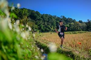 BIB: 
                            <button type="button" onclick="openModal(26573113)" class="btn btn-primary btn-sm float-right btn-popup" data-toggle="modal" data-target=".modal-high-quality">
                        <i class="fas fa-shopping-cart"></i> Add to Cart
                    </button>
                                            <button type="button" onclick="isThisMe(26573113, true)" class="btn btn-success btn-sm float-right btn-popup btn-isme hidden" data-toggle="tooltip" data-placement="bottom" title="นี่คือรูปของคุณใช่ไหม คลิกที่นี่เพื่อเอาเข้าอัลบั้ม">
                        <i class="fas fa-plus"></i> Add to album
                    </button>
                    <button type="button" onclick="isThisMe(26573113, false)" class="btn btn-warning btn-sm float-right btn-popup btn-isnotme hidden">
                        <i class="fas fa-ban"></i> Remove from album
                    </button>