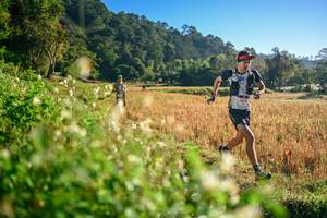 BIB: 
                            <button type="button" onclick="openModal(26570260)" class="btn btn-primary btn-sm float-right btn-popup" data-toggle="modal" data-target=".modal-high-quality">
                        <i class="fas fa-shopping-cart"></i> Add to Cart
                    </button>
                                            <button type="button" onclick="isThisMe(26570260, true)" class="btn btn-success btn-sm float-right btn-popup btn-isme hidden" data-toggle="tooltip" data-placement="bottom" title="นี่คือรูปของคุณใช่ไหม คลิกที่นี่เพื่อเอาเข้าอัลบั้ม">
                        <i class="fas fa-plus"></i> Add to album
                    </button>
                    <button type="button" onclick="isThisMe(26570260, false)" class="btn btn-warning btn-sm float-right btn-popup btn-isnotme hidden">
                        <i class="fas fa-ban"></i> Remove from album
                    </button>