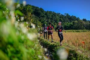 BIB: 
                            <button type="button" onclick="openModal(26573967)" class="btn btn-primary btn-sm float-right btn-popup" data-toggle="modal" data-target=".modal-high-quality">
                        <i class="fas fa-shopping-cart"></i> Add to Cart
                    </button>
                                            <button type="button" onclick="isThisMe(26573967, true)" class="btn btn-success btn-sm float-right btn-popup btn-isme hidden" data-toggle="tooltip" data-placement="bottom" title="นี่คือรูปของคุณใช่ไหม คลิกที่นี่เพื่อเอาเข้าอัลบั้ม">
                        <i class="fas fa-plus"></i> Add to album
                    </button>
                    <button type="button" onclick="isThisMe(26573967, false)" class="btn btn-warning btn-sm float-right btn-popup btn-isnotme hidden">
                        <i class="fas fa-ban"></i> Remove from album
                    </button>