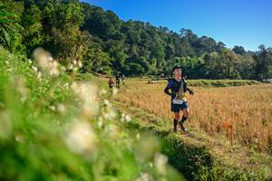 BIB: 
                            <button type="button" onclick="openModal(26570768)" class="btn btn-primary btn-sm float-right btn-popup" data-toggle="modal" data-target=".modal-high-quality">
                        <i class="fas fa-shopping-cart"></i> Add to Cart
                    </button>
                                            <button type="button" onclick="isThisMe(26570768, true)" class="btn btn-success btn-sm float-right btn-popup btn-isme hidden" data-toggle="tooltip" data-placement="bottom" title="นี่คือรูปของคุณใช่ไหม คลิกที่นี่เพื่อเอาเข้าอัลบั้ม">
                        <i class="fas fa-plus"></i> Add to album
                    </button>
                    <button type="button" onclick="isThisMe(26570768, false)" class="btn btn-warning btn-sm float-right btn-popup btn-isnotme hidden">
                        <i class="fas fa-ban"></i> Remove from album
                    </button>