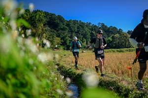 BIB: 
                            <button type="button" onclick="openModal(26574270)" class="btn btn-primary btn-sm float-right btn-popup" data-toggle="modal" data-target=".modal-high-quality">
                        <i class="fas fa-shopping-cart"></i> Add to Cart
                    </button>
                                            <button type="button" onclick="isThisMe(26574270, true)" class="btn btn-success btn-sm float-right btn-popup btn-isme hidden" data-toggle="tooltip" data-placement="bottom" title="นี่คือรูปของคุณใช่ไหม คลิกที่นี่เพื่อเอาเข้าอัลบั้ม">
                        <i class="fas fa-plus"></i> Add to album
                    </button>
                    <button type="button" onclick="isThisMe(26574270, false)" class="btn btn-warning btn-sm float-right btn-popup btn-isnotme hidden">
                        <i class="fas fa-ban"></i> Remove from album
                    </button>