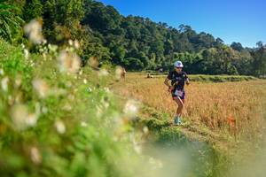 BIB: 
                            <button type="button" onclick="openModal(26570990)" class="btn btn-primary btn-sm float-right btn-popup" data-toggle="modal" data-target=".modal-high-quality">
                        <i class="fas fa-shopping-cart"></i> Add to Cart
                    </button>
                                            <button type="button" onclick="isThisMe(26570990, true)" class="btn btn-success btn-sm float-right btn-popup btn-isme hidden" data-toggle="tooltip" data-placement="bottom" title="นี่คือรูปของคุณใช่ไหม คลิกที่นี่เพื่อเอาเข้าอัลบั้ม">
                        <i class="fas fa-plus"></i> Add to album
                    </button>
                    <button type="button" onclick="isThisMe(26570990, false)" class="btn btn-warning btn-sm float-right btn-popup btn-isnotme hidden">
                        <i class="fas fa-ban"></i> Remove from album
                    </button>