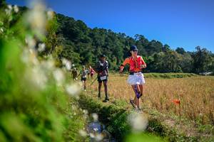 BIB: 
                            <button type="button" onclick="openModal(26575318)" class="btn btn-primary btn-sm float-right btn-popup" data-toggle="modal" data-target=".modal-high-quality">
                        <i class="fas fa-shopping-cart"></i> Add to Cart
                    </button>
                                            <button type="button" onclick="isThisMe(26575318, true)" class="btn btn-success btn-sm float-right btn-popup btn-isme hidden" data-toggle="tooltip" data-placement="bottom" title="นี่คือรูปของคุณใช่ไหม คลิกที่นี่เพื่อเอาเข้าอัลบั้ม">
                        <i class="fas fa-plus"></i> Add to album
                    </button>
                    <button type="button" onclick="isThisMe(26575318, false)" class="btn btn-warning btn-sm float-right btn-popup btn-isnotme hidden">
                        <i class="fas fa-ban"></i> Remove from album
                    </button>