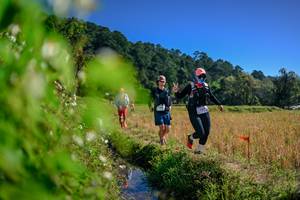 BIB: 
                            <button type="button" onclick="openModal(26580116)" class="btn btn-primary btn-sm float-right btn-popup" data-toggle="modal" data-target=".modal-high-quality">
                        <i class="fas fa-shopping-cart"></i> Add to Cart
                    </button>
                                            <button type="button" onclick="isThisMe(26580116, true)" class="btn btn-success btn-sm float-right btn-popup btn-isme hidden" data-toggle="tooltip" data-placement="bottom" title="นี่คือรูปของคุณใช่ไหม คลิกที่นี่เพื่อเอาเข้าอัลบั้ม">
                        <i class="fas fa-plus"></i> Add to album
                    </button>
                    <button type="button" onclick="isThisMe(26580116, false)" class="btn btn-warning btn-sm float-right btn-popup btn-isnotme hidden">
                        <i class="fas fa-ban"></i> Remove from album
                    </button>