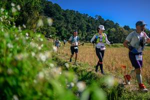 BIB: 
                            <button type="button" onclick="openModal(26581611)" class="btn btn-primary btn-sm float-right btn-popup" data-toggle="modal" data-target=".modal-high-quality">
                        <i class="fas fa-shopping-cart"></i> Add to Cart
                    </button>
                                            <button type="button" onclick="isThisMe(26581611, true)" class="btn btn-success btn-sm float-right btn-popup btn-isme hidden" data-toggle="tooltip" data-placement="bottom" title="นี่คือรูปของคุณใช่ไหม คลิกที่นี่เพื่อเอาเข้าอัลบั้ม">
                        <i class="fas fa-plus"></i> Add to album
                    </button>
                    <button type="button" onclick="isThisMe(26581611, false)" class="btn btn-warning btn-sm float-right btn-popup btn-isnotme hidden">
                        <i class="fas fa-ban"></i> Remove from album
                    </button>