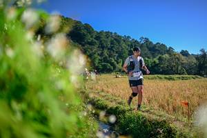 BIB: 
                            <button type="button" onclick="openModal(26571983)" class="btn btn-primary btn-sm float-right btn-popup" data-toggle="modal" data-target=".modal-high-quality">
                        <i class="fas fa-shopping-cart"></i> Add to Cart
                    </button>
                                            <button type="button" onclick="isThisMe(26571983, true)" class="btn btn-success btn-sm float-right btn-popup btn-isme hidden" data-toggle="tooltip" data-placement="bottom" title="นี่คือรูปของคุณใช่ไหม คลิกที่นี่เพื่อเอาเข้าอัลบั้ม">
                        <i class="fas fa-plus"></i> Add to album
                    </button>
                    <button type="button" onclick="isThisMe(26571983, false)" class="btn btn-warning btn-sm float-right btn-popup btn-isnotme hidden">
                        <i class="fas fa-ban"></i> Remove from album
                    </button>