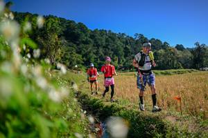 BIB: 
                            <button type="button" onclick="openModal(26574191)" class="btn btn-primary btn-sm float-right btn-popup" data-toggle="modal" data-target=".modal-high-quality">
                        <i class="fas fa-shopping-cart"></i> Add to Cart
                    </button>
                                            <button type="button" onclick="isThisMe(26574191, true)" class="btn btn-success btn-sm float-right btn-popup btn-isme hidden" data-toggle="tooltip" data-placement="bottom" title="นี่คือรูปของคุณใช่ไหม คลิกที่นี่เพื่อเอาเข้าอัลบั้ม">
                        <i class="fas fa-plus"></i> Add to album
                    </button>
                    <button type="button" onclick="isThisMe(26574191, false)" class="btn btn-warning btn-sm float-right btn-popup btn-isnotme hidden">
                        <i class="fas fa-ban"></i> Remove from album
                    </button>