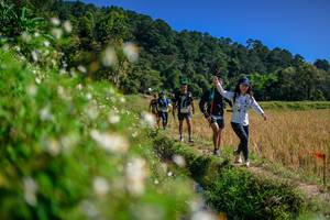 BIB: 
                            <button type="button" onclick="openModal(26583151)" class="btn btn-primary btn-sm float-right btn-popup" data-toggle="modal" data-target=".modal-high-quality">
                        <i class="fas fa-shopping-cart"></i> Add to Cart
                    </button>
                                            <button type="button" onclick="isThisMe(26583151, true)" class="btn btn-success btn-sm float-right btn-popup btn-isme hidden" data-toggle="tooltip" data-placement="bottom" title="นี่คือรูปของคุณใช่ไหม คลิกที่นี่เพื่อเอาเข้าอัลบั้ม">
                        <i class="fas fa-plus"></i> Add to album
                    </button>
                    <button type="button" onclick="isThisMe(26583151, false)" class="btn btn-warning btn-sm float-right btn-popup btn-isnotme hidden">
                        <i class="fas fa-ban"></i> Remove from album
                    </button>