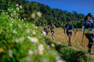 BIB: 
                            <button type="button" onclick="openModal(26583170)" class="btn btn-primary btn-sm float-right btn-popup" data-toggle="modal" data-target=".modal-high-quality">
                        <i class="fas fa-shopping-cart"></i> Add to Cart
                    </button>
                                            <button type="button" onclick="isThisMe(26583170, true)" class="btn btn-success btn-sm float-right btn-popup btn-isme hidden" data-toggle="tooltip" data-placement="bottom" title="นี่คือรูปของคุณใช่ไหม คลิกที่นี่เพื่อเอาเข้าอัลบั้ม">
                        <i class="fas fa-plus"></i> Add to album
                    </button>
                    <button type="button" onclick="isThisMe(26583170, false)" class="btn btn-warning btn-sm float-right btn-popup btn-isnotme hidden">
                        <i class="fas fa-ban"></i> Remove from album
                    </button>