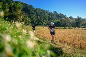 BIB: 
                            <button type="button" onclick="openModal(26570527)" class="btn btn-primary btn-sm float-right btn-popup" data-toggle="modal" data-target=".modal-high-quality">
                        <i class="fas fa-shopping-cart"></i> Add to Cart
                    </button>
                                            <button type="button" onclick="isThisMe(26570527, true)" class="btn btn-success btn-sm float-right btn-popup btn-isme hidden" data-toggle="tooltip" data-placement="bottom" title="นี่คือรูปของคุณใช่ไหม คลิกที่นี่เพื่อเอาเข้าอัลบั้ม">
                        <i class="fas fa-plus"></i> Add to album
                    </button>
                    <button type="button" onclick="isThisMe(26570527, false)" class="btn btn-warning btn-sm float-right btn-popup btn-isnotme hidden">
                        <i class="fas fa-ban"></i> Remove from album
                    </button>