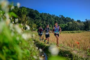 BIB: 
                            <button type="button" onclick="openModal(26574481)" class="btn btn-primary btn-sm float-right btn-popup" data-toggle="modal" data-target=".modal-high-quality">
                        <i class="fas fa-shopping-cart"></i> Add to Cart
                    </button>
                                            <button type="button" onclick="isThisMe(26574481, true)" class="btn btn-success btn-sm float-right btn-popup btn-isme hidden" data-toggle="tooltip" data-placement="bottom" title="นี่คือรูปของคุณใช่ไหม คลิกที่นี่เพื่อเอาเข้าอัลบั้ม">
                        <i class="fas fa-plus"></i> Add to album
                    </button>
                    <button type="button" onclick="isThisMe(26574481, false)" class="btn btn-warning btn-sm float-right btn-popup btn-isnotme hidden">
                        <i class="fas fa-ban"></i> Remove from album
                    </button>