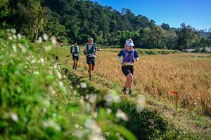 BIB: 
                            <button type="button" onclick="openModal(26571416)" class="btn btn-primary btn-sm float-right btn-popup" data-toggle="modal" data-target=".modal-high-quality">
                        <i class="fas fa-shopping-cart"></i> Add to Cart
                    </button>
                                            <button type="button" onclick="isThisMe(26571416, true)" class="btn btn-success btn-sm float-right btn-popup btn-isme hidden" data-toggle="tooltip" data-placement="bottom" title="นี่คือรูปของคุณใช่ไหม คลิกที่นี่เพื่อเอาเข้าอัลบั้ม">
                        <i class="fas fa-plus"></i> Add to album
                    </button>
                    <button type="button" onclick="isThisMe(26571416, false)" class="btn btn-warning btn-sm float-right btn-popup btn-isnotme hidden">
                        <i class="fas fa-ban"></i> Remove from album
                    </button>