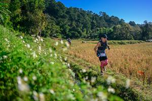 BIB: 
                            <button type="button" onclick="openModal(26571285)" class="btn btn-primary btn-sm float-right btn-popup" data-toggle="modal" data-target=".modal-high-quality">
                        <i class="fas fa-shopping-cart"></i> Add to Cart
                    </button>
                                            <button type="button" onclick="isThisMe(26571285, true)" class="btn btn-success btn-sm float-right btn-popup btn-isme hidden" data-toggle="tooltip" data-placement="bottom" title="นี่คือรูปของคุณใช่ไหม คลิกที่นี่เพื่อเอาเข้าอัลบั้ม">
                        <i class="fas fa-plus"></i> Add to album
                    </button>
                    <button type="button" onclick="isThisMe(26571285, false)" class="btn btn-warning btn-sm float-right btn-popup btn-isnotme hidden">
                        <i class="fas fa-ban"></i> Remove from album
                    </button>