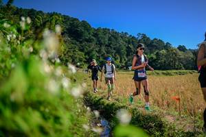 BIB: 
                            <button type="button" onclick="openModal(26575544)" class="btn btn-primary btn-sm float-right btn-popup" data-toggle="modal" data-target=".modal-high-quality">
                        <i class="fas fa-shopping-cart"></i> Add to Cart
                    </button>
                                            <button type="button" onclick="isThisMe(26575544, true)" class="btn btn-success btn-sm float-right btn-popup btn-isme hidden" data-toggle="tooltip" data-placement="bottom" title="นี่คือรูปของคุณใช่ไหม คลิกที่นี่เพื่อเอาเข้าอัลบั้ม">
                        <i class="fas fa-plus"></i> Add to album
                    </button>
                    <button type="button" onclick="isThisMe(26575544, false)" class="btn btn-warning btn-sm float-right btn-popup btn-isnotme hidden">
                        <i class="fas fa-ban"></i> Remove from album
                    </button>