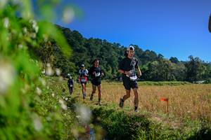 BIB: 
                            <button type="button" onclick="openModal(26579796)" class="btn btn-primary btn-sm float-right btn-popup" data-toggle="modal" data-target=".modal-high-quality">
                        <i class="fas fa-shopping-cart"></i> Add to Cart
                    </button>
                                            <button type="button" onclick="isThisMe(26579796, true)" class="btn btn-success btn-sm float-right btn-popup btn-isme hidden" data-toggle="tooltip" data-placement="bottom" title="นี่คือรูปของคุณใช่ไหม คลิกที่นี่เพื่อเอาเข้าอัลบั้ม">
                        <i class="fas fa-plus"></i> Add to album
                    </button>
                    <button type="button" onclick="isThisMe(26579796, false)" class="btn btn-warning btn-sm float-right btn-popup btn-isnotme hidden">
                        <i class="fas fa-ban"></i> Remove from album
                    </button>