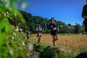 BIB: 
                            <button type="button" onclick="openModal(26579807)" class="btn btn-primary btn-sm float-right btn-popup" data-toggle="modal" data-target=".modal-high-quality">
                        <i class="fas fa-shopping-cart"></i> Add to Cart
                    </button>
                                            <button type="button" onclick="isThisMe(26579807, true)" class="btn btn-success btn-sm float-right btn-popup btn-isme hidden" data-toggle="tooltip" data-placement="bottom" title="นี่คือรูปของคุณใช่ไหม คลิกที่นี่เพื่อเอาเข้าอัลบั้ม">
                        <i class="fas fa-plus"></i> Add to album
                    </button>
                    <button type="button" onclick="isThisMe(26579807, false)" class="btn btn-warning btn-sm float-right btn-popup btn-isnotme hidden">
                        <i class="fas fa-ban"></i> Remove from album
                    </button>