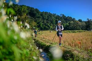 BIB: 
                            <button type="button" onclick="openModal(26573762)" class="btn btn-primary btn-sm float-right btn-popup" data-toggle="modal" data-target=".modal-high-quality">
                        <i class="fas fa-shopping-cart"></i> Add to Cart
                    </button>
                                            <button type="button" onclick="isThisMe(26573762, true)" class="btn btn-success btn-sm float-right btn-popup btn-isme hidden" data-toggle="tooltip" data-placement="bottom" title="นี่คือรูปของคุณใช่ไหม คลิกที่นี่เพื่อเอาเข้าอัลบั้ม">
                        <i class="fas fa-plus"></i> Add to album
                    </button>
                    <button type="button" onclick="isThisMe(26573762, false)" class="btn btn-warning btn-sm float-right btn-popup btn-isnotme hidden">
                        <i class="fas fa-ban"></i> Remove from album
                    </button>