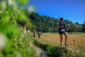 BIB: 
                            <button type="button" onclick="openModal(26580850)" class="btn btn-primary btn-sm float-right btn-popup" data-toggle="modal" data-target=".modal-high-quality">
                        <i class="fas fa-shopping-cart"></i> Add to Cart
                    </button>
                                            <button type="button" onclick="isThisMe(26580850, true)" class="btn btn-success btn-sm float-right btn-popup btn-isme hidden" data-toggle="tooltip" data-placement="bottom" title="นี่คือรูปของคุณใช่ไหม คลิกที่นี่เพื่อเอาเข้าอัลบั้ม">
                        <i class="fas fa-plus"></i> Add to album
                    </button>
                    <button type="button" onclick="isThisMe(26580850, false)" class="btn btn-warning btn-sm float-right btn-popup btn-isnotme hidden">
                        <i class="fas fa-ban"></i> Remove from album
                    </button>