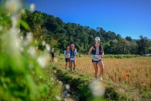 BIB: 
                            <button type="button" onclick="openModal(26572582)" class="btn btn-primary btn-sm float-right btn-popup" data-toggle="modal" data-target=".modal-high-quality">
                        <i class="fas fa-shopping-cart"></i> Add to Cart
                    </button>
                                            <button type="button" onclick="isThisMe(26572582, true)" class="btn btn-success btn-sm float-right btn-popup btn-isme hidden" data-toggle="tooltip" data-placement="bottom" title="นี่คือรูปของคุณใช่ไหม คลิกที่นี่เพื่อเอาเข้าอัลบั้ม">
                        <i class="fas fa-plus"></i> Add to album
                    </button>
                    <button type="button" onclick="isThisMe(26572582, false)" class="btn btn-warning btn-sm float-right btn-popup btn-isnotme hidden">
                        <i class="fas fa-ban"></i> Remove from album
                    </button>