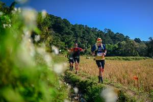 BIB: 
                            <button type="button" onclick="openModal(26573639)" class="btn btn-primary btn-sm float-right btn-popup" data-toggle="modal" data-target=".modal-high-quality">
                        <i class="fas fa-shopping-cart"></i> Add to Cart
                    </button>
                                            <button type="button" onclick="isThisMe(26573639, true)" class="btn btn-success btn-sm float-right btn-popup btn-isme hidden" data-toggle="tooltip" data-placement="bottom" title="นี่คือรูปของคุณใช่ไหม คลิกที่นี่เพื่อเอาเข้าอัลบั้ม">
                        <i class="fas fa-plus"></i> Add to album
                    </button>
                    <button type="button" onclick="isThisMe(26573639, false)" class="btn btn-warning btn-sm float-right btn-popup btn-isnotme hidden">
                        <i class="fas fa-ban"></i> Remove from album
                    </button>