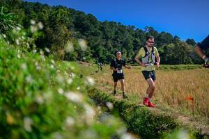 BIB: 
                            <button type="button" onclick="openModal(26582314)" class="btn btn-primary btn-sm float-right btn-popup" data-toggle="modal" data-target=".modal-high-quality">
                        <i class="fas fa-shopping-cart"></i> Add to Cart
                    </button>
                                            <button type="button" onclick="isThisMe(26582314, true)" class="btn btn-success btn-sm float-right btn-popup btn-isme hidden" data-toggle="tooltip" data-placement="bottom" title="นี่คือรูปของคุณใช่ไหม คลิกที่นี่เพื่อเอาเข้าอัลบั้ม">
                        <i class="fas fa-plus"></i> Add to album
                    </button>
                    <button type="button" onclick="isThisMe(26582314, false)" class="btn btn-warning btn-sm float-right btn-popup btn-isnotme hidden">
                        <i class="fas fa-ban"></i> Remove from album
                    </button>