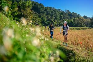 BIB: 
                            <button type="button" onclick="openModal(26570705)" class="btn btn-primary btn-sm float-right btn-popup" data-toggle="modal" data-target=".modal-high-quality">
                        <i class="fas fa-shopping-cart"></i> Add to Cart
                    </button>
                                            <button type="button" onclick="isThisMe(26570705, true)" class="btn btn-success btn-sm float-right btn-popup btn-isme hidden" data-toggle="tooltip" data-placement="bottom" title="นี่คือรูปของคุณใช่ไหม คลิกที่นี่เพื่อเอาเข้าอัลบั้ม">
                        <i class="fas fa-plus"></i> Add to album
                    </button>
                    <button type="button" onclick="isThisMe(26570705, false)" class="btn btn-warning btn-sm float-right btn-popup btn-isnotme hidden">
                        <i class="fas fa-ban"></i> Remove from album
                    </button>