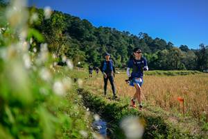 BIB: 
                            <button type="button" onclick="openModal(26573489)" class="btn btn-primary btn-sm float-right btn-popup" data-toggle="modal" data-target=".modal-high-quality">
                        <i class="fas fa-shopping-cart"></i> Add to Cart
                    </button>
                                            <button type="button" onclick="isThisMe(26573489, true)" class="btn btn-success btn-sm float-right btn-popup btn-isme hidden" data-toggle="tooltip" data-placement="bottom" title="นี่คือรูปของคุณใช่ไหม คลิกที่นี่เพื่อเอาเข้าอัลบั้ม">
                        <i class="fas fa-plus"></i> Add to album
                    </button>
                    <button type="button" onclick="isThisMe(26573489, false)" class="btn btn-warning btn-sm float-right btn-popup btn-isnotme hidden">
                        <i class="fas fa-ban"></i> Remove from album
                    </button>