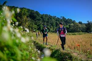 BIB: 
                            <button type="button" onclick="openModal(26575402)" class="btn btn-primary btn-sm float-right btn-popup" data-toggle="modal" data-target=".modal-high-quality">
                        <i class="fas fa-shopping-cart"></i> Add to Cart
                    </button>
                                            <button type="button" onclick="isThisMe(26575402, true)" class="btn btn-success btn-sm float-right btn-popup btn-isme hidden" data-toggle="tooltip" data-placement="bottom" title="นี่คือรูปของคุณใช่ไหม คลิกที่นี่เพื่อเอาเข้าอัลบั้ม">
                        <i class="fas fa-plus"></i> Add to album
                    </button>
                    <button type="button" onclick="isThisMe(26575402, false)" class="btn btn-warning btn-sm float-right btn-popup btn-isnotme hidden">
                        <i class="fas fa-ban"></i> Remove from album
                    </button>