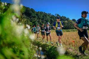 BIB: 
                            <button type="button" onclick="openModal(26575155)" class="btn btn-primary btn-sm float-right btn-popup" data-toggle="modal" data-target=".modal-high-quality">
                        <i class="fas fa-shopping-cart"></i> Add to Cart
                    </button>
                                            <button type="button" onclick="isThisMe(26575155, true)" class="btn btn-success btn-sm float-right btn-popup btn-isme hidden" data-toggle="tooltip" data-placement="bottom" title="นี่คือรูปของคุณใช่ไหม คลิกที่นี่เพื่อเอาเข้าอัลบั้ม">
                        <i class="fas fa-plus"></i> Add to album
                    </button>
                    <button type="button" onclick="isThisMe(26575155, false)" class="btn btn-warning btn-sm float-right btn-popup btn-isnotme hidden">
                        <i class="fas fa-ban"></i> Remove from album
                    </button>