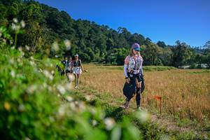 BIB: 
                            <button type="button" onclick="openModal(26581362)" class="btn btn-primary btn-sm float-right btn-popup" data-toggle="modal" data-target=".modal-high-quality">
                        <i class="fas fa-shopping-cart"></i> Add to Cart
                    </button>
                                            <button type="button" onclick="isThisMe(26581362, true)" class="btn btn-success btn-sm float-right btn-popup btn-isme hidden" data-toggle="tooltip" data-placement="bottom" title="นี่คือรูปของคุณใช่ไหม คลิกที่นี่เพื่อเอาเข้าอัลบั้ม">
                        <i class="fas fa-plus"></i> Add to album
                    </button>
                    <button type="button" onclick="isThisMe(26581362, false)" class="btn btn-warning btn-sm float-right btn-popup btn-isnotme hidden">
                        <i class="fas fa-ban"></i> Remove from album
                    </button>