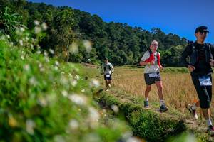 BIB: 
                            <button type="button" onclick="openModal(26582184)" class="btn btn-primary btn-sm float-right btn-popup" data-toggle="modal" data-target=".modal-high-quality">
                        <i class="fas fa-shopping-cart"></i> Add to Cart
                    </button>
                                            <button type="button" onclick="isThisMe(26582184, true)" class="btn btn-success btn-sm float-right btn-popup btn-isme hidden" data-toggle="tooltip" data-placement="bottom" title="นี่คือรูปของคุณใช่ไหม คลิกที่นี่เพื่อเอาเข้าอัลบั้ม">
                        <i class="fas fa-plus"></i> Add to album
                    </button>
                    <button type="button" onclick="isThisMe(26582184, false)" class="btn btn-warning btn-sm float-right btn-popup btn-isnotme hidden">
                        <i class="fas fa-ban"></i> Remove from album
                    </button>