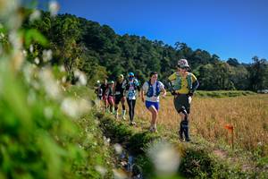 BIB: 
                            <button type="button" onclick="openModal(26574080)" class="btn btn-primary btn-sm float-right btn-popup" data-toggle="modal" data-target=".modal-high-quality">
                        <i class="fas fa-shopping-cart"></i> Add to Cart
                    </button>
                                            <button type="button" onclick="isThisMe(26574080, true)" class="btn btn-success btn-sm float-right btn-popup btn-isme hidden" data-toggle="tooltip" data-placement="bottom" title="นี่คือรูปของคุณใช่ไหม คลิกที่นี่เพื่อเอาเข้าอัลบั้ม">
                        <i class="fas fa-plus"></i> Add to album
                    </button>
                    <button type="button" onclick="isThisMe(26574080, false)" class="btn btn-warning btn-sm float-right btn-popup btn-isnotme hidden">
                        <i class="fas fa-ban"></i> Remove from album
                    </button>