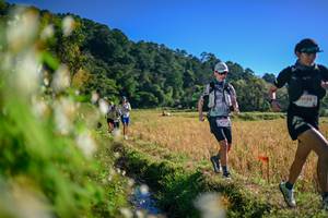 BIB: 
                            <button type="button" onclick="openModal(26571609)" class="btn btn-primary btn-sm float-right btn-popup" data-toggle="modal" data-target=".modal-high-quality">
                        <i class="fas fa-shopping-cart"></i> Add to Cart
                    </button>
                                            <button type="button" onclick="isThisMe(26571609, true)" class="btn btn-success btn-sm float-right btn-popup btn-isme hidden" data-toggle="tooltip" data-placement="bottom" title="นี่คือรูปของคุณใช่ไหม คลิกที่นี่เพื่อเอาเข้าอัลบั้ม">
                        <i class="fas fa-plus"></i> Add to album
                    </button>
                    <button type="button" onclick="isThisMe(26571609, false)" class="btn btn-warning btn-sm float-right btn-popup btn-isnotme hidden">
                        <i class="fas fa-ban"></i> Remove from album
                    </button>