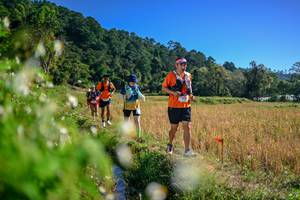 BIB: 
                            <button type="button" onclick="openModal(26579591)" class="btn btn-primary btn-sm float-right btn-popup" data-toggle="modal" data-target=".modal-high-quality">
                        <i class="fas fa-shopping-cart"></i> Add to Cart
                    </button>
                                            <button type="button" onclick="isThisMe(26579591, true)" class="btn btn-success btn-sm float-right btn-popup btn-isme hidden" data-toggle="tooltip" data-placement="bottom" title="นี่คือรูปของคุณใช่ไหม คลิกที่นี่เพื่อเอาเข้าอัลบั้ม">
                        <i class="fas fa-plus"></i> Add to album
                    </button>
                    <button type="button" onclick="isThisMe(26579591, false)" class="btn btn-warning btn-sm float-right btn-popup btn-isnotme hidden">
                        <i class="fas fa-ban"></i> Remove from album
                    </button>