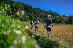 BIB: 
                            <button type="button" onclick="openModal(26582676)" class="btn btn-primary btn-sm float-right btn-popup" data-toggle="modal" data-target=".modal-high-quality">
                        <i class="fas fa-shopping-cart"></i> Add to Cart
                    </button>
                                            <button type="button" onclick="isThisMe(26582676, true)" class="btn btn-success btn-sm float-right btn-popup btn-isme hidden" data-toggle="tooltip" data-placement="bottom" title="นี่คือรูปของคุณใช่ไหม คลิกที่นี่เพื่อเอาเข้าอัลบั้ม">
                        <i class="fas fa-plus"></i> Add to album
                    </button>
                    <button type="button" onclick="isThisMe(26582676, false)" class="btn btn-warning btn-sm float-right btn-popup btn-isnotme hidden">
                        <i class="fas fa-ban"></i> Remove from album
                    </button>