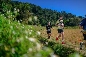 BIB: 
                            <button type="button" onclick="openModal(26582311)" class="btn btn-primary btn-sm float-right btn-popup" data-toggle="modal" data-target=".modal-high-quality">
                        <i class="fas fa-shopping-cart"></i> Add to Cart
                    </button>
                                            <button type="button" onclick="isThisMe(26582311, true)" class="btn btn-success btn-sm float-right btn-popup btn-isme hidden" data-toggle="tooltip" data-placement="bottom" title="นี่คือรูปของคุณใช่ไหม คลิกที่นี่เพื่อเอาเข้าอัลบั้ม">
                        <i class="fas fa-plus"></i> Add to album
                    </button>
                    <button type="button" onclick="isThisMe(26582311, false)" class="btn btn-warning btn-sm float-right btn-popup btn-isnotme hidden">
                        <i class="fas fa-ban"></i> Remove from album
                    </button>