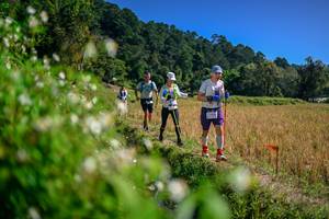 BIB: 
                            <button type="button" onclick="openModal(26581596)" class="btn btn-primary btn-sm float-right btn-popup" data-toggle="modal" data-target=".modal-high-quality">
                        <i class="fas fa-shopping-cart"></i> Add to Cart
                    </button>
                                            <button type="button" onclick="isThisMe(26581596, true)" class="btn btn-success btn-sm float-right btn-popup btn-isme hidden" data-toggle="tooltip" data-placement="bottom" title="นี่คือรูปของคุณใช่ไหม คลิกที่นี่เพื่อเอาเข้าอัลบั้ม">
                        <i class="fas fa-plus"></i> Add to album
                    </button>
                    <button type="button" onclick="isThisMe(26581596, false)" class="btn btn-warning btn-sm float-right btn-popup btn-isnotme hidden">
                        <i class="fas fa-ban"></i> Remove from album
                    </button>