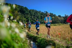 BIB: 
                            <button type="button" onclick="openModal(26574651)" class="btn btn-primary btn-sm float-right btn-popup" data-toggle="modal" data-target=".modal-high-quality">
                        <i class="fas fa-shopping-cart"></i> Add to Cart
                    </button>
                                            <button type="button" onclick="isThisMe(26574651, true)" class="btn btn-success btn-sm float-right btn-popup btn-isme hidden" data-toggle="tooltip" data-placement="bottom" title="นี่คือรูปของคุณใช่ไหม คลิกที่นี่เพื่อเอาเข้าอัลบั้ม">
                        <i class="fas fa-plus"></i> Add to album
                    </button>
                    <button type="button" onclick="isThisMe(26574651, false)" class="btn btn-warning btn-sm float-right btn-popup btn-isnotme hidden">
                        <i class="fas fa-ban"></i> Remove from album
                    </button>