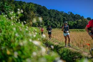 BIB: 
                            <button type="button" onclick="openModal(26582245)" class="btn btn-primary btn-sm float-right btn-popup" data-toggle="modal" data-target=".modal-high-quality">
                        <i class="fas fa-shopping-cart"></i> Add to Cart
                    </button>
                                            <button type="button" onclick="isThisMe(26582245, true)" class="btn btn-success btn-sm float-right btn-popup btn-isme hidden" data-toggle="tooltip" data-placement="bottom" title="นี่คือรูปของคุณใช่ไหม คลิกที่นี่เพื่อเอาเข้าอัลบั้ม">
                        <i class="fas fa-plus"></i> Add to album
                    </button>
                    <button type="button" onclick="isThisMe(26582245, false)" class="btn btn-warning btn-sm float-right btn-popup btn-isnotme hidden">
                        <i class="fas fa-ban"></i> Remove from album
                    </button>