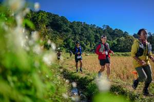 BIB: 
                            <button type="button" onclick="openModal(26573081)" class="btn btn-primary btn-sm float-right btn-popup" data-toggle="modal" data-target=".modal-high-quality">
                        <i class="fas fa-shopping-cart"></i> Add to Cart
                    </button>
                                            <button type="button" onclick="isThisMe(26573081, true)" class="btn btn-success btn-sm float-right btn-popup btn-isme hidden" data-toggle="tooltip" data-placement="bottom" title="นี่คือรูปของคุณใช่ไหม คลิกที่นี่เพื่อเอาเข้าอัลบั้ม">
                        <i class="fas fa-plus"></i> Add to album
                    </button>
                    <button type="button" onclick="isThisMe(26573081, false)" class="btn btn-warning btn-sm float-right btn-popup btn-isnotme hidden">
                        <i class="fas fa-ban"></i> Remove from album
                    </button>