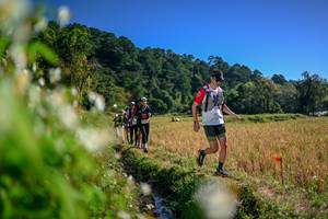 BIB: 
                            <button type="button" onclick="openModal(26573954)" class="btn btn-primary btn-sm float-right btn-popup" data-toggle="modal" data-target=".modal-high-quality">
                        <i class="fas fa-shopping-cart"></i> Add to Cart
                    </button>
                                            <button type="button" onclick="isThisMe(26573954, true)" class="btn btn-success btn-sm float-right btn-popup btn-isme hidden" data-toggle="tooltip" data-placement="bottom" title="นี่คือรูปของคุณใช่ไหม คลิกที่นี่เพื่อเอาเข้าอัลบั้ม">
                        <i class="fas fa-plus"></i> Add to album
                    </button>
                    <button type="button" onclick="isThisMe(26573954, false)" class="btn btn-warning btn-sm float-right btn-popup btn-isnotme hidden">
                        <i class="fas fa-ban"></i> Remove from album
                    </button>