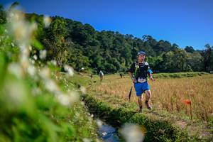 BIB: 
                            <button type="button" onclick="openModal(26575254)" class="btn btn-primary btn-sm float-right btn-popup" data-toggle="modal" data-target=".modal-high-quality">
                        <i class="fas fa-shopping-cart"></i> Add to Cart
                    </button>
                                            <button type="button" onclick="isThisMe(26575254, true)" class="btn btn-success btn-sm float-right btn-popup btn-isme hidden" data-toggle="tooltip" data-placement="bottom" title="นี่คือรูปของคุณใช่ไหม คลิกที่นี่เพื่อเอาเข้าอัลบั้ม">
                        <i class="fas fa-plus"></i> Add to album
                    </button>
                    <button type="button" onclick="isThisMe(26575254, false)" class="btn btn-warning btn-sm float-right btn-popup btn-isnotme hidden">
                        <i class="fas fa-ban"></i> Remove from album
                    </button>