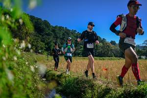 BIB: 
                            <button type="button" onclick="openModal(26579847)" class="btn btn-primary btn-sm float-right btn-popup" data-toggle="modal" data-target=".modal-high-quality">
                        <i class="fas fa-shopping-cart"></i> Add to Cart
                    </button>
                                            <button type="button" onclick="isThisMe(26579847, true)" class="btn btn-success btn-sm float-right btn-popup btn-isme hidden" data-toggle="tooltip" data-placement="bottom" title="นี่คือรูปของคุณใช่ไหม คลิกที่นี่เพื่อเอาเข้าอัลบั้ม">
                        <i class="fas fa-plus"></i> Add to album
                    </button>
                    <button type="button" onclick="isThisMe(26579847, false)" class="btn btn-warning btn-sm float-right btn-popup btn-isnotme hidden">
                        <i class="fas fa-ban"></i> Remove from album
                    </button>