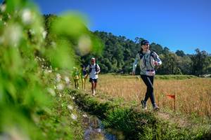 BIB: 
                            <button type="button" onclick="openModal(26580829)" class="btn btn-primary btn-sm float-right btn-popup" data-toggle="modal" data-target=".modal-high-quality">
                        <i class="fas fa-shopping-cart"></i> Add to Cart
                    </button>
                                            <button type="button" onclick="isThisMe(26580829, true)" class="btn btn-success btn-sm float-right btn-popup btn-isme hidden" data-toggle="tooltip" data-placement="bottom" title="นี่คือรูปของคุณใช่ไหม คลิกที่นี่เพื่อเอาเข้าอัลบั้ม">
                        <i class="fas fa-plus"></i> Add to album
                    </button>
                    <button type="button" onclick="isThisMe(26580829, false)" class="btn btn-warning btn-sm float-right btn-popup btn-isnotme hidden">
                        <i class="fas fa-ban"></i> Remove from album
                    </button>