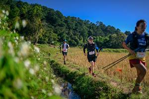 BIB: 
                            <button type="button" onclick="openModal(26575893)" class="btn btn-primary btn-sm float-right btn-popup" data-toggle="modal" data-target=".modal-high-quality">
                        <i class="fas fa-shopping-cart"></i> Add to Cart
                    </button>
                                            <button type="button" onclick="isThisMe(26575893, true)" class="btn btn-success btn-sm float-right btn-popup btn-isme hidden" data-toggle="tooltip" data-placement="bottom" title="นี่คือรูปของคุณใช่ไหม คลิกที่นี่เพื่อเอาเข้าอัลบั้ม">
                        <i class="fas fa-plus"></i> Add to album
                    </button>
                    <button type="button" onclick="isThisMe(26575893, false)" class="btn btn-warning btn-sm float-right btn-popup btn-isnotme hidden">
                        <i class="fas fa-ban"></i> Remove from album
                    </button>