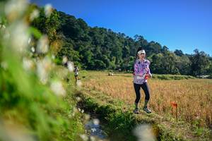 BIB: 
                            <button type="button" onclick="openModal(26571803)" class="btn btn-primary btn-sm float-right btn-popup" data-toggle="modal" data-target=".modal-high-quality">
                        <i class="fas fa-shopping-cart"></i> Add to Cart
                    </button>
                                            <button type="button" onclick="isThisMe(26571803, true)" class="btn btn-success btn-sm float-right btn-popup btn-isme hidden" data-toggle="tooltip" data-placement="bottom" title="นี่คือรูปของคุณใช่ไหม คลิกที่นี่เพื่อเอาเข้าอัลบั้ม">
                        <i class="fas fa-plus"></i> Add to album
                    </button>
                    <button type="button" onclick="isThisMe(26571803, false)" class="btn btn-warning btn-sm float-right btn-popup btn-isnotme hidden">
                        <i class="fas fa-ban"></i> Remove from album
                    </button>