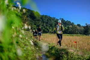 BIB: 
                            <button type="button" onclick="openModal(26580166)" class="btn btn-primary btn-sm float-right btn-popup" data-toggle="modal" data-target=".modal-high-quality">
                        <i class="fas fa-shopping-cart"></i> Add to Cart
                    </button>
                                            <button type="button" onclick="isThisMe(26580166, true)" class="btn btn-success btn-sm float-right btn-popup btn-isme hidden" data-toggle="tooltip" data-placement="bottom" title="นี่คือรูปของคุณใช่ไหม คลิกที่นี่เพื่อเอาเข้าอัลบั้ม">
                        <i class="fas fa-plus"></i> Add to album
                    </button>
                    <button type="button" onclick="isThisMe(26580166, false)" class="btn btn-warning btn-sm float-right btn-popup btn-isnotme hidden">
                        <i class="fas fa-ban"></i> Remove from album
                    </button>