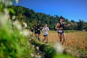 BIB: 
                            <button type="button" onclick="openModal(26575086)" class="btn btn-primary btn-sm float-right btn-popup" data-toggle="modal" data-target=".modal-high-quality">
                        <i class="fas fa-shopping-cart"></i> Add to Cart
                    </button>
                                            <button type="button" onclick="isThisMe(26575086, true)" class="btn btn-success btn-sm float-right btn-popup btn-isme hidden" data-toggle="tooltip" data-placement="bottom" title="นี่คือรูปของคุณใช่ไหม คลิกที่นี่เพื่อเอาเข้าอัลบั้ม">
                        <i class="fas fa-plus"></i> Add to album
                    </button>
                    <button type="button" onclick="isThisMe(26575086, false)" class="btn btn-warning btn-sm float-right btn-popup btn-isnotme hidden">
                        <i class="fas fa-ban"></i> Remove from album
                    </button>